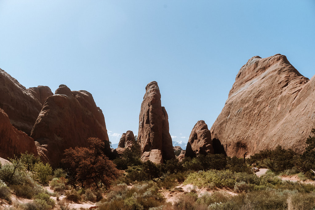 L1007454.jpg