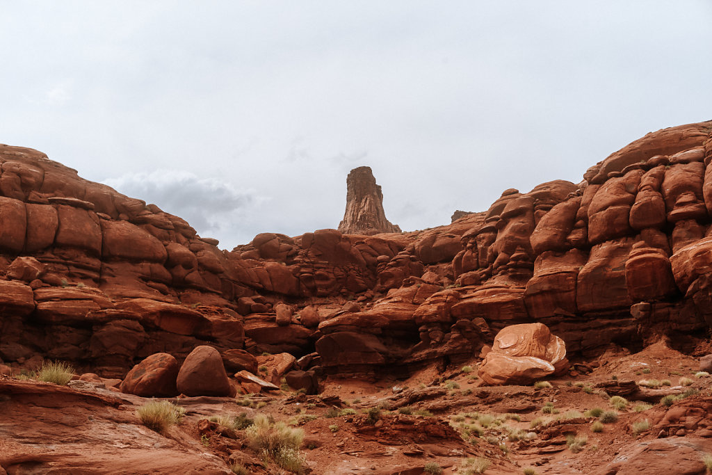 L1007894.jpg