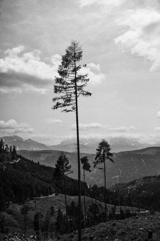 L1005253.jpg