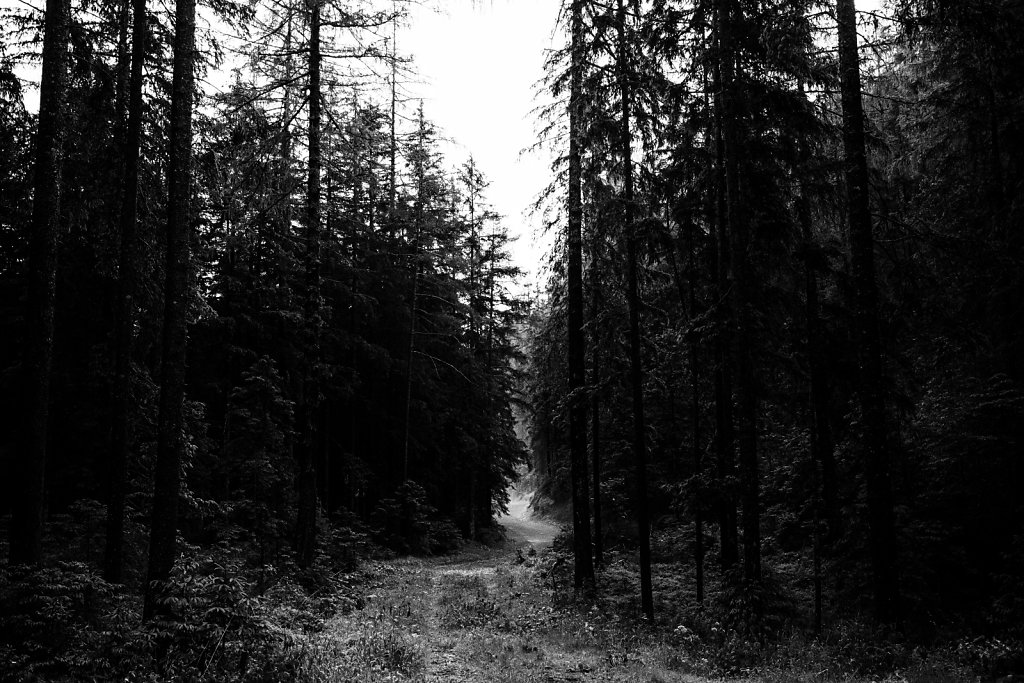 L1005416.jpg