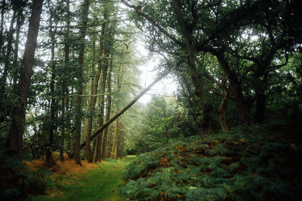 L1008729.jpg