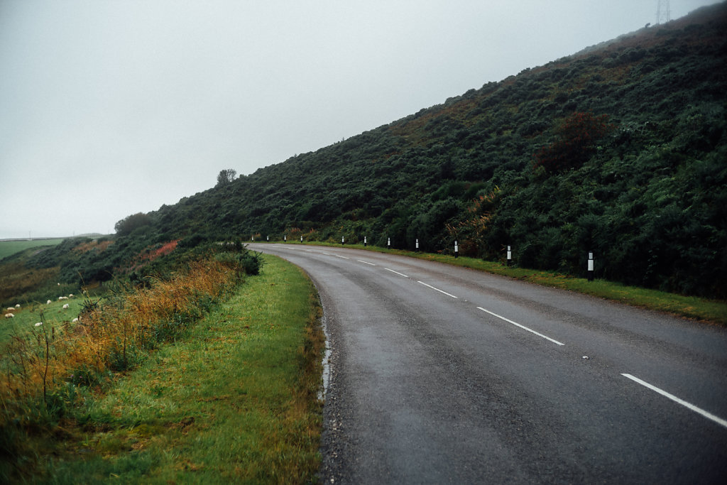 L1008737.jpg