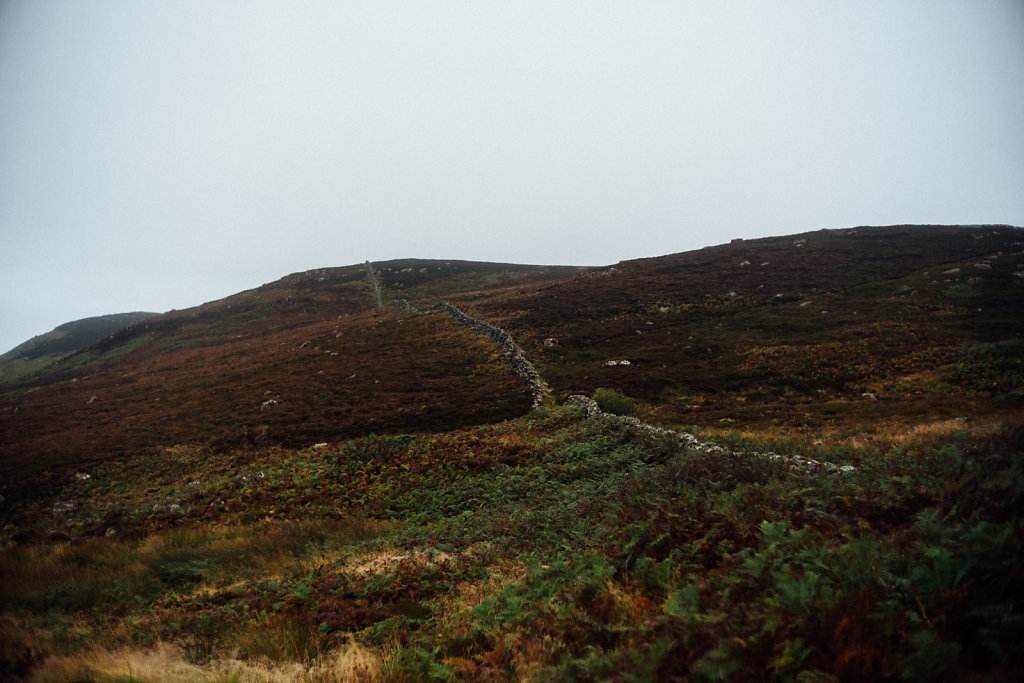 L1008754.jpg