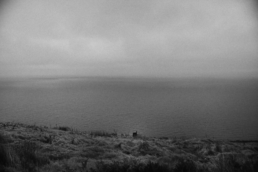 L1008762.jpg