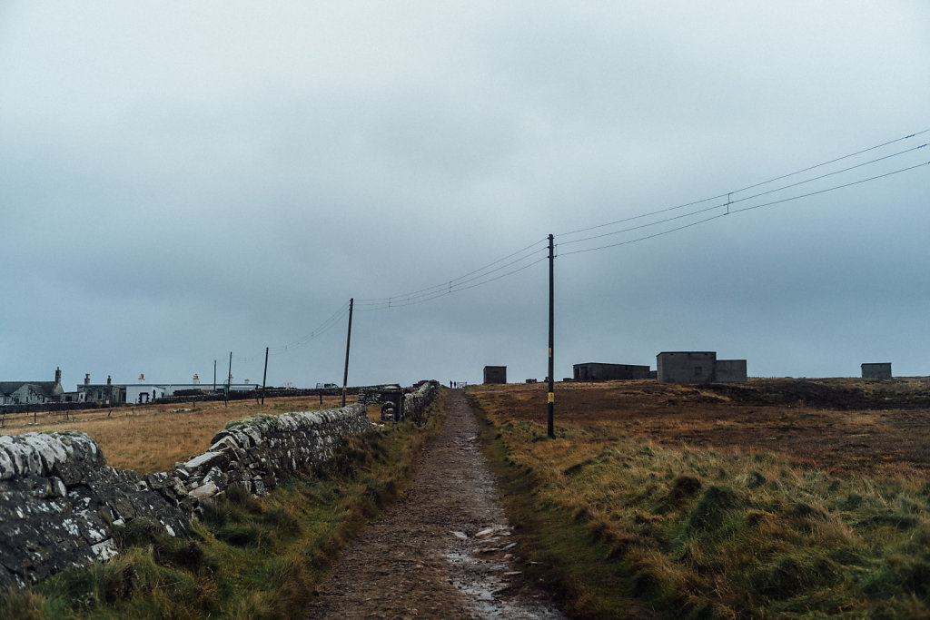 L1008877.jpg