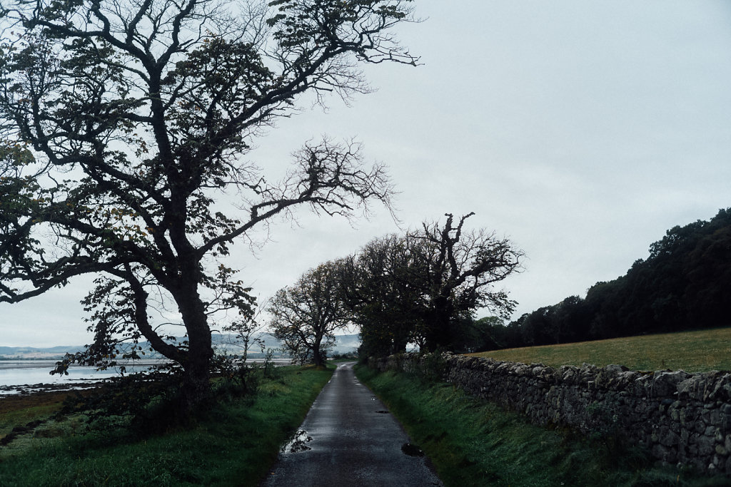 L1008642.jpg