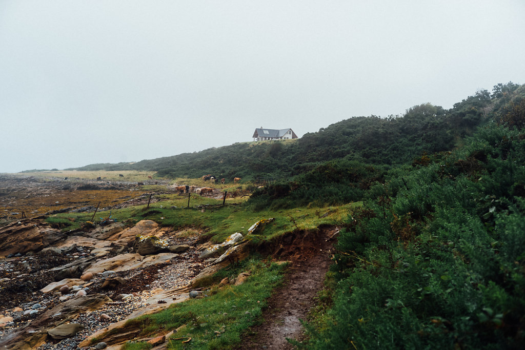 L1008654.jpg