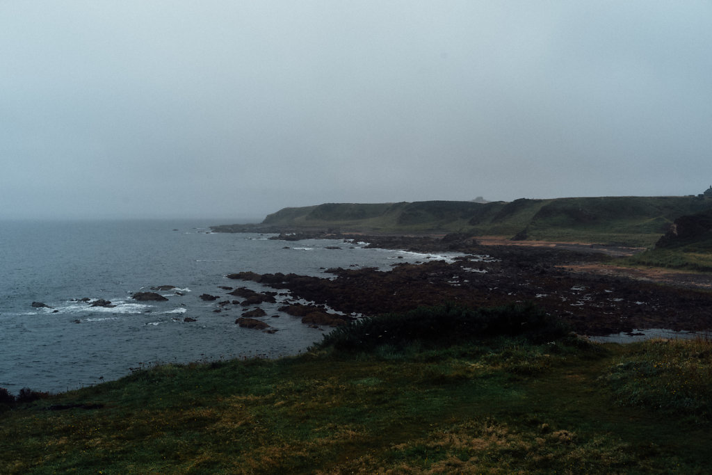 L1008663.jpg