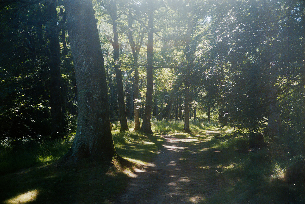 2020-07-20-0020V1.jpg