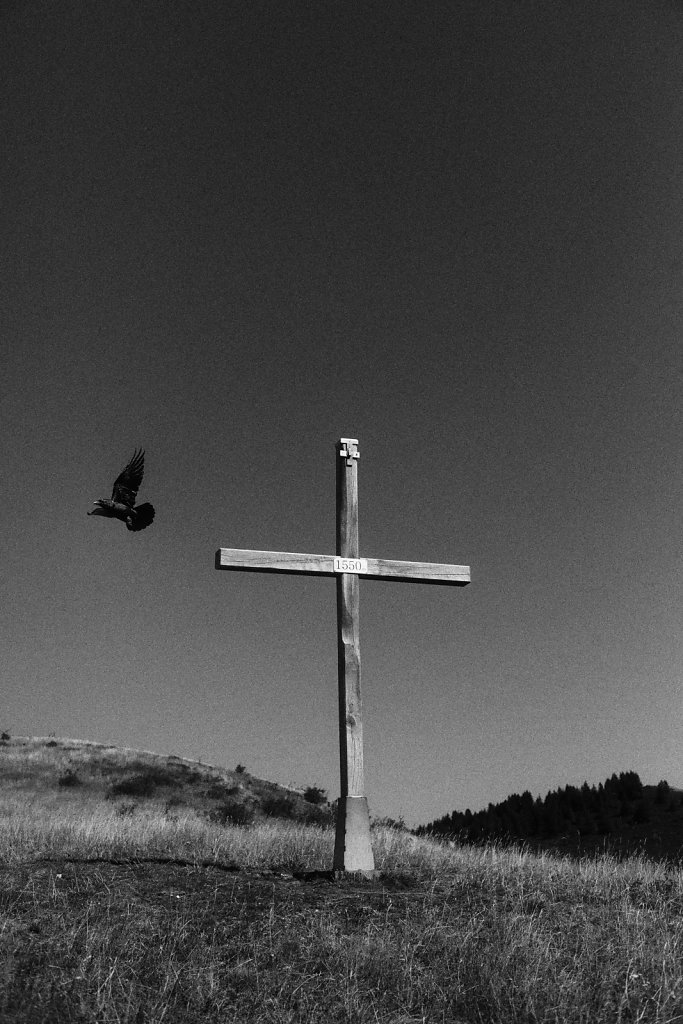 L1002536.jpg