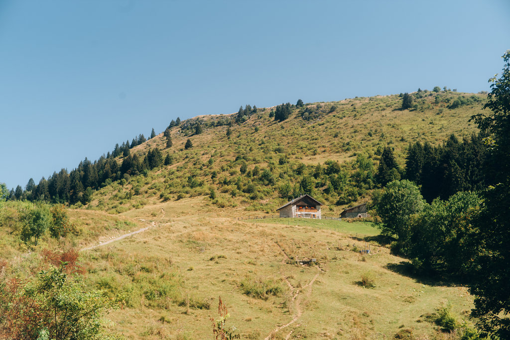 L1002529.jpg