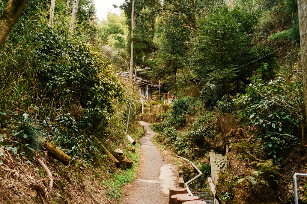 JAPN1370.jpg