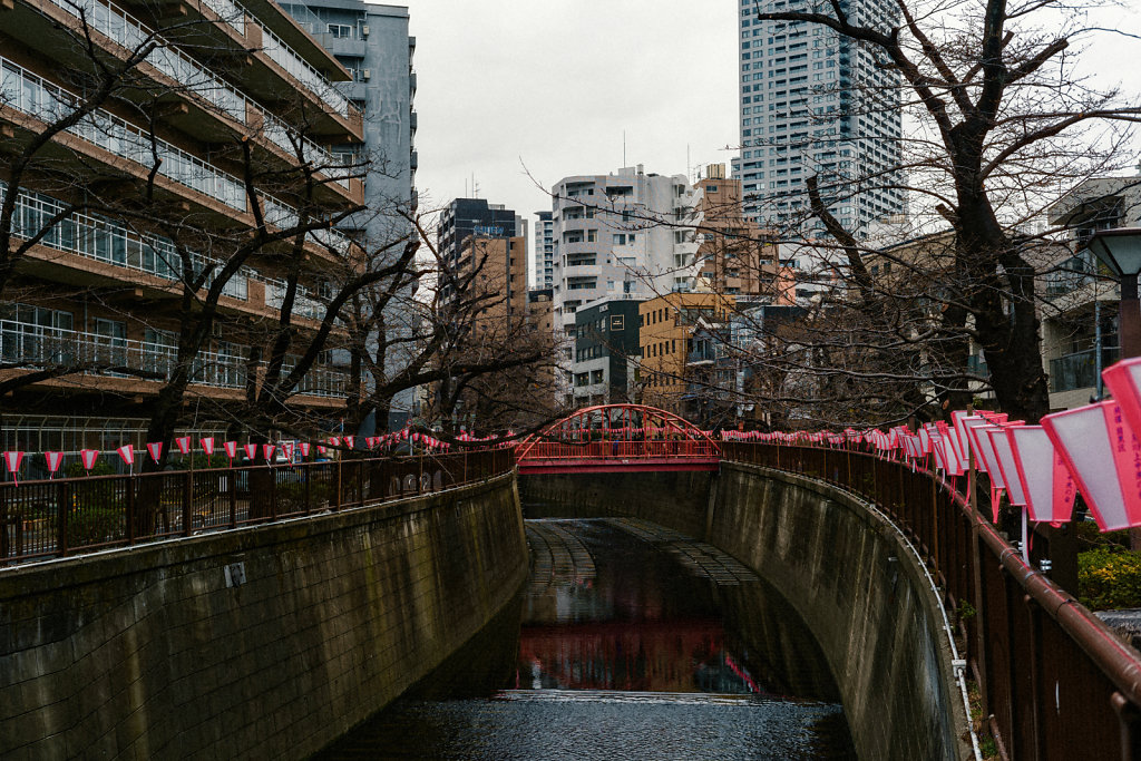 JAPN1627.jpg